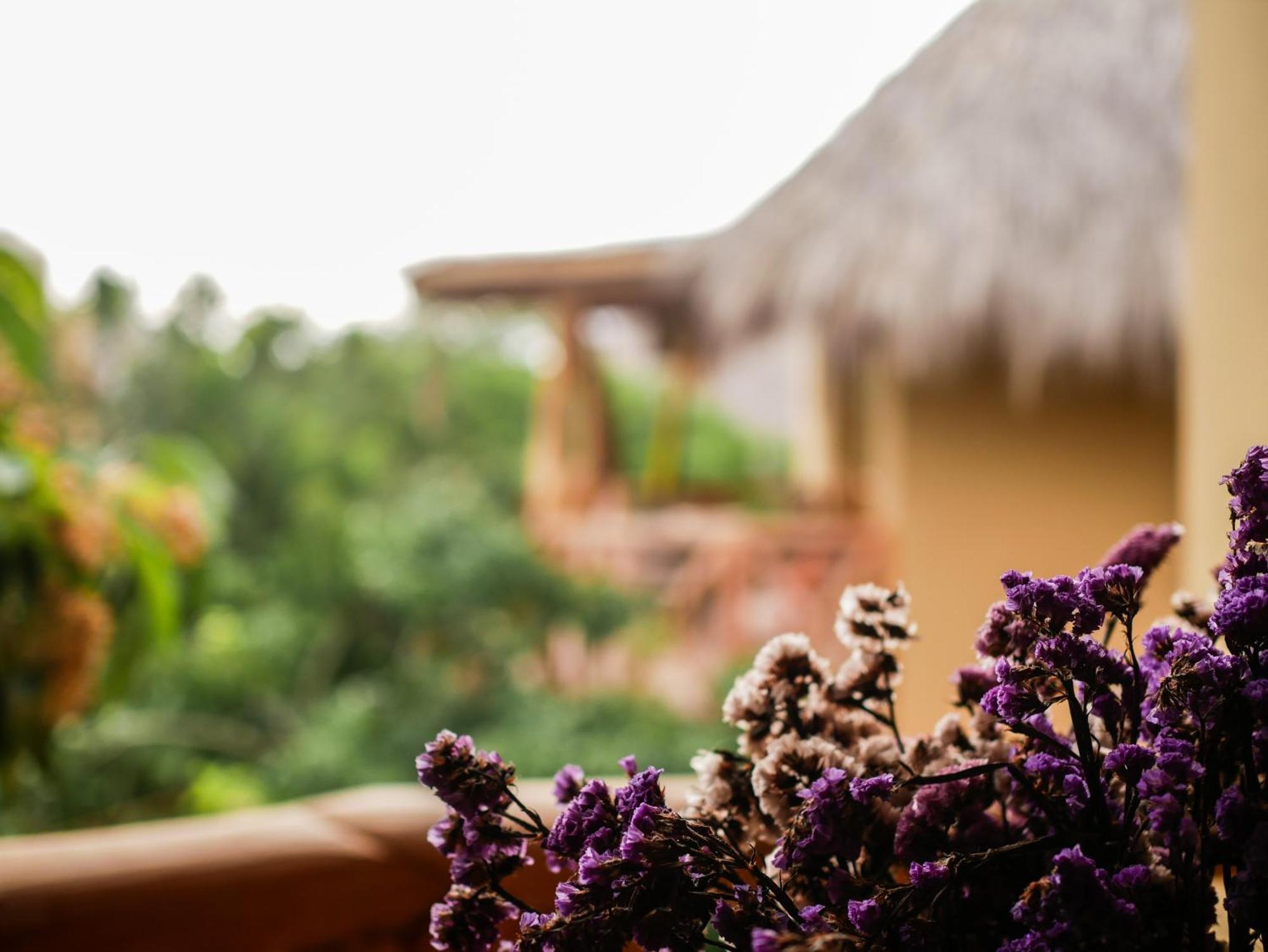 Carpe Diem Casitas & Villas Mazunte Kamer foto